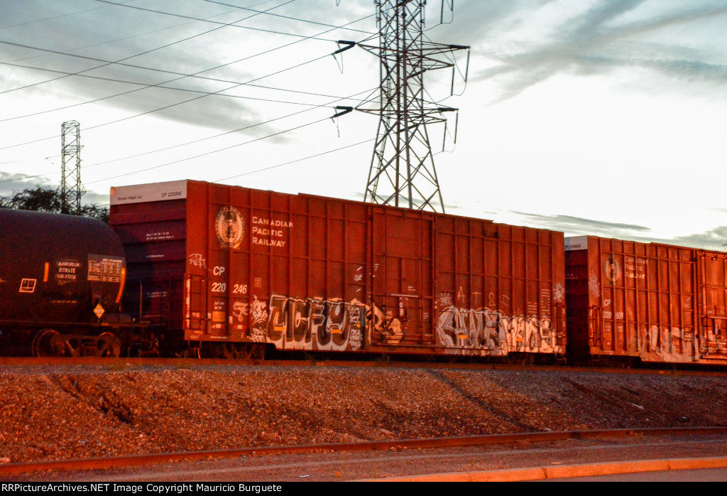 CP Box Car